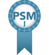 Professional Scrum Master, agile Team Performance